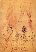 LEONARDO da Vinci Muscles and bone of leg and Hufte painting